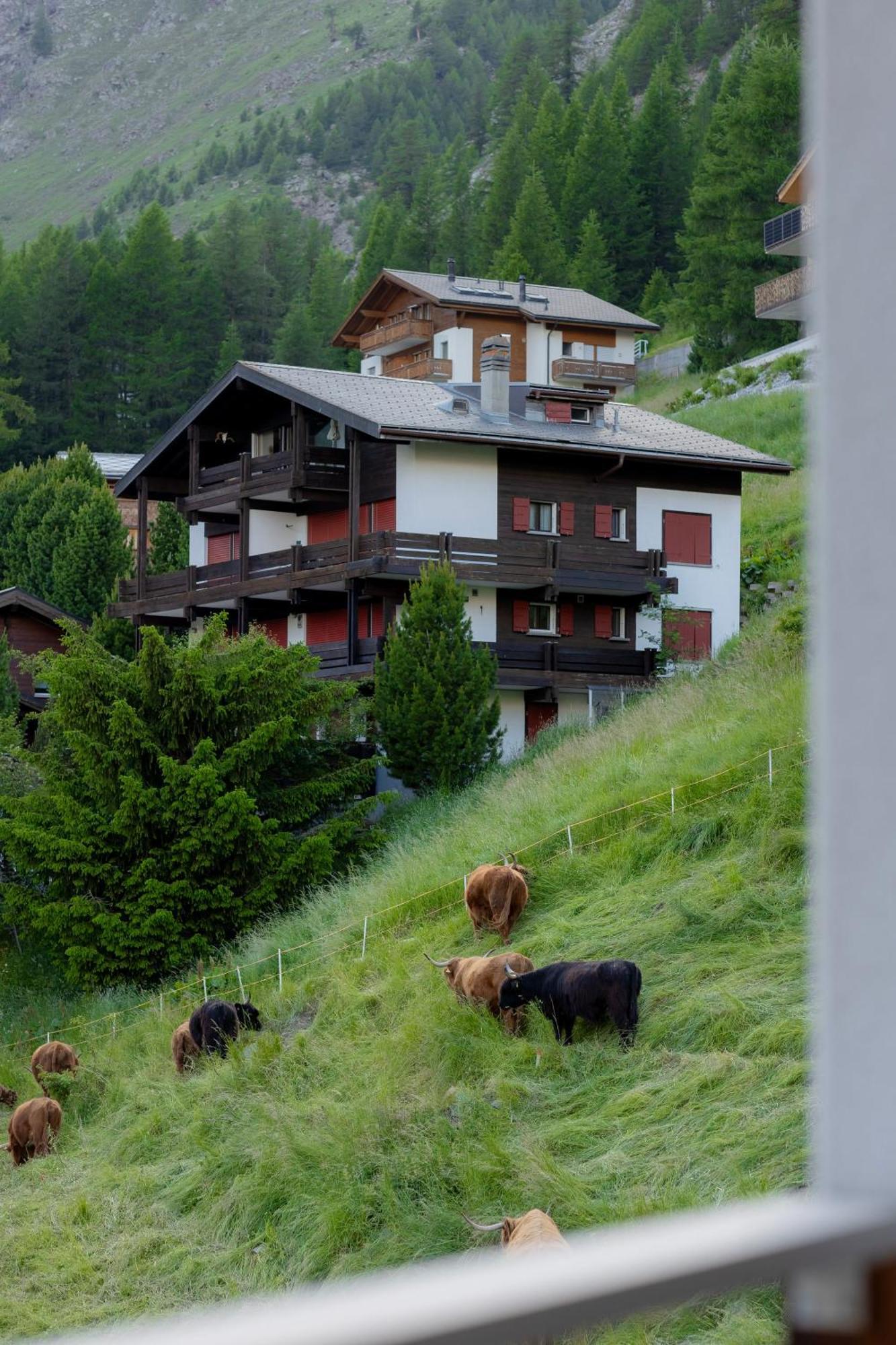 Victoria'S Home - Luxurious Penthouse Saas Fee Eksteriør billede